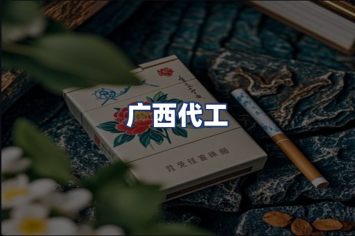 广西代工